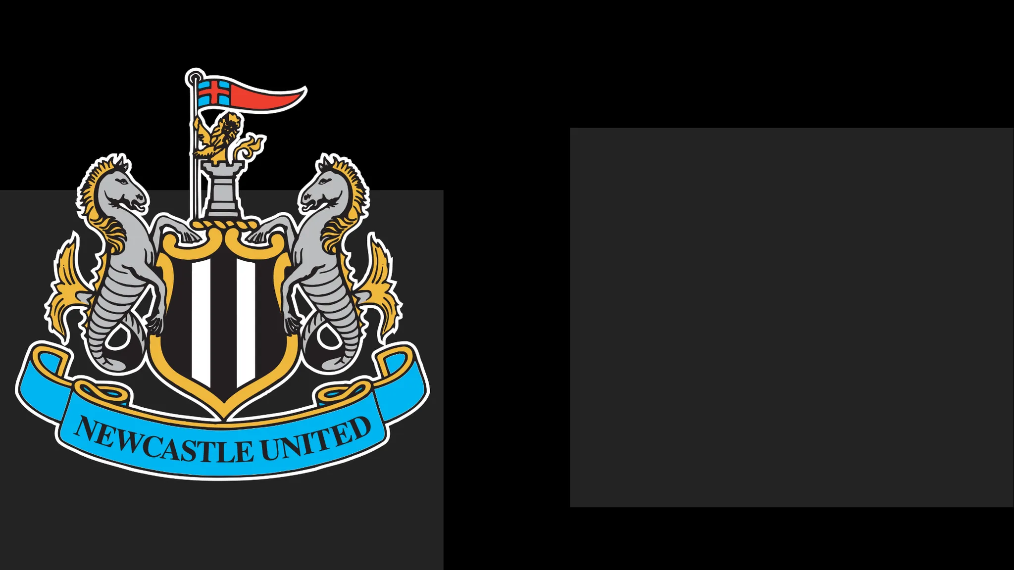 Newcastle's boss Commends Team's Heart – But It Only Takes Them So Far